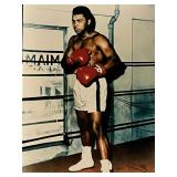 Boxer Muhammed Ali Unsigned Photo
