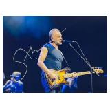 Sting facsimile signed  photo