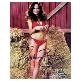 Dukes of Hazzard Catherine Bach facsimile...