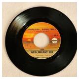 The New Colony Six Someone Sometime 45 Album