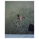 Moonwalkers Neil Armstrong, Buzz Aldrin,...