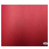 San Francisco 49ers Steve Young Signed  Hard...