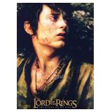 The Lord of the Rings: The Return of the King...