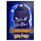 Harry Potter and the Philosopher