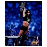 WWE Diva AJ Lee facsimile signed photo