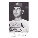 MLB Star Sal Campisi signed photo
