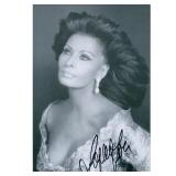 Marriage Italian Style Sophia Loren Signed JSA...