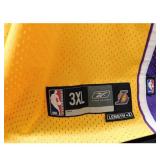 Los Angeles Lakers Lamar Odom Signed Jersey