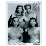 The Blossoms Dreamers Fanita James Gloria Jones...