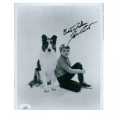 Lassie Jon Provost Signed Photo JSA