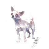 Artist John Krewal signed dog print