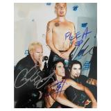 Red Hot Chili Peppers band signed photo