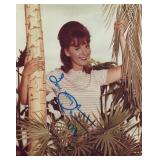 Gilligan Dawn Wells Signed Photo