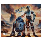 Star Wars The Book of Boba Fett Christine Galey...