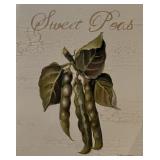 Vintage Sweet Peas Garden Art Print