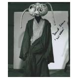 Star Wars David Stone Signed Photo