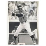 SF Giants Tim Foli signed photo