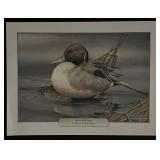 Sherrie Russell Meline Bird Art Print