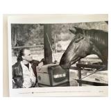 Hot to Trot (1988) Bob Goldthwait movie photo