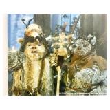 Star Wars Ewoks movie photo