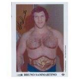 WWF WWE Bruno Sammartino Signed Photo