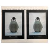 B-R-R-R-R-R-R! Konrad Wothe Double Penguin...