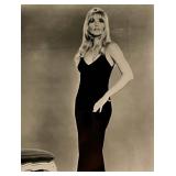 Valley of the Dolls Sharon Tate Unsigned Photo