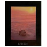 David E. Myers Polar Bear Art Print