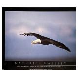 John Pezzenti Jr. Bald Eagle Art Print