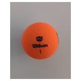 Caddy Shack Bushwood golf ball