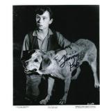 Old Yeller signed photo