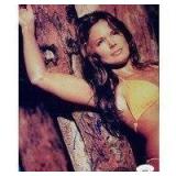 WWF WWE Diva Ivory Signed Photo