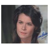 The Virginian  Diane Baker Signed Photo