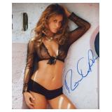 Playboy Playmate Rebecca Dipietro Signed Photo
