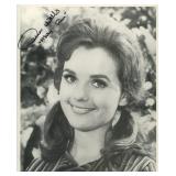 Gilligan's Island Dawn Wells signed photo