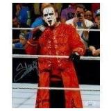 WWF WWE WCW Wrestler Sting Steve Borden Signed...