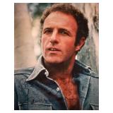 The Godfather James Caan signed photo