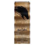 The Black Stallion insert card