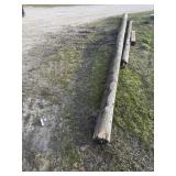 Telephone poles