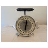 Hanson Model 2000 Utility scale