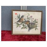 Nesting birds painting
