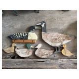 Duck