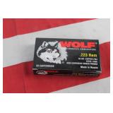 Ammo - .223 - 20 Rounds