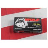 Ammo - .223 - 20 Rounds