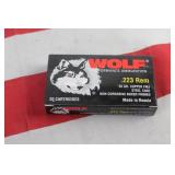 Ammo - .223 - 20 Rounds