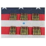 Ammo - .308 - 30 Rounds