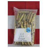 Ammo Cases Only - .223 - 50 rounds