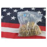 Ammo Cases Only - .338 Win