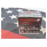 Ammo - 12ga - 25 Rounds