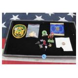 Assorted  Country & Cowboy Pins